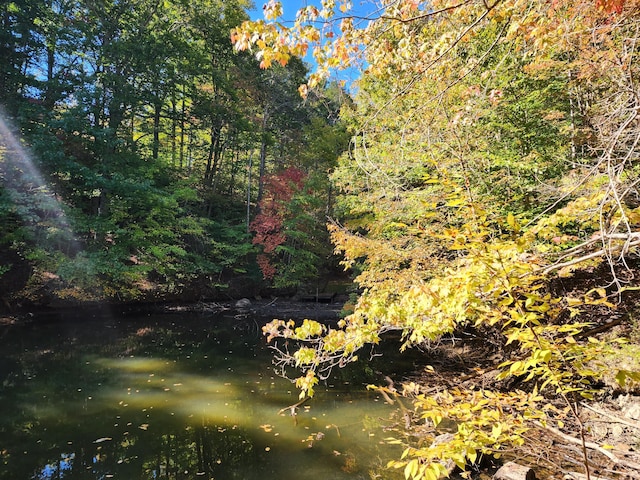 LOT16 Point Dr, Hardy, VA 24101
