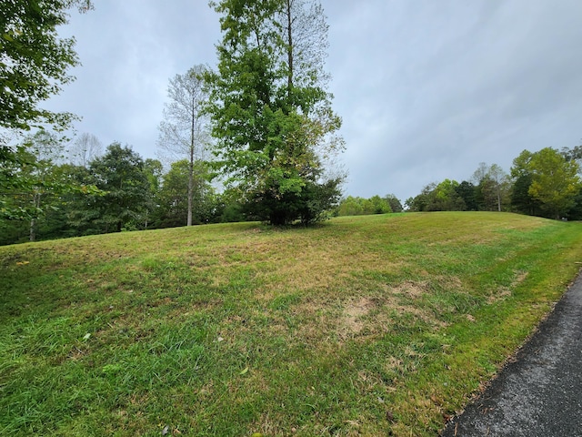 LOT16 Point Dr, Hardy, VA 24101