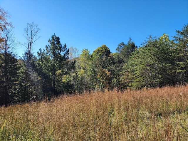 LOT16 Point Dr, Hardy, VA 24101
