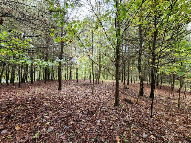 0 Hardy Rd, Hardy, VA 24101