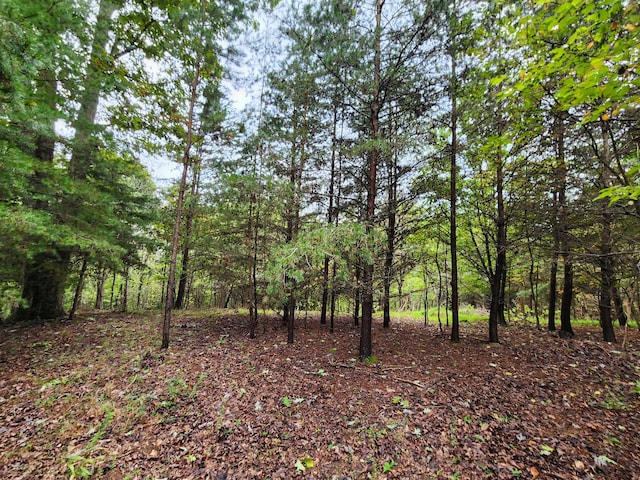 0 Hardy Rd, Hardy, VA 24101
