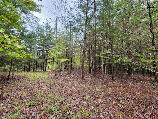 0 Hardy Rd, Hardy, VA 24101