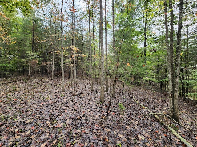 0 Hardy Rd, Hardy, VA 24101