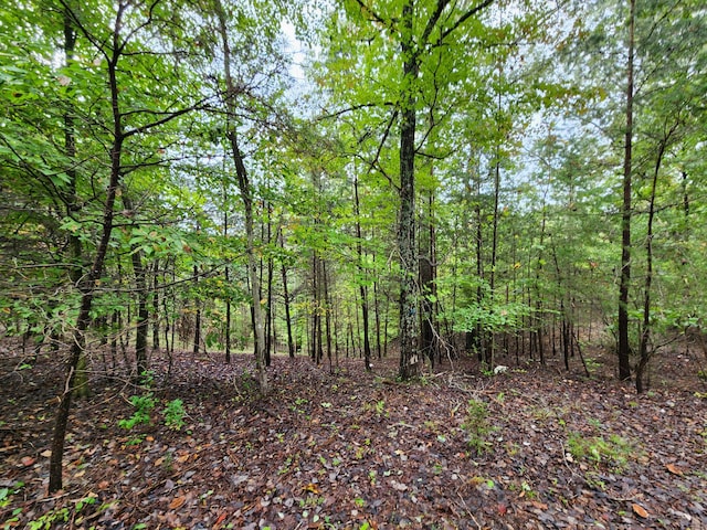 0 Hardy Rd, Hardy, VA 24101