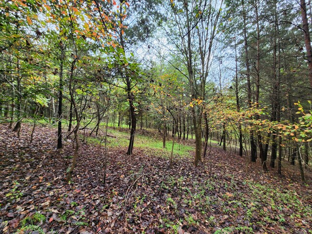 0 Hardy Rd, Hardy, VA 24101