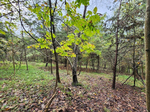 0 Hardy Rd, Hardy, VA 24101