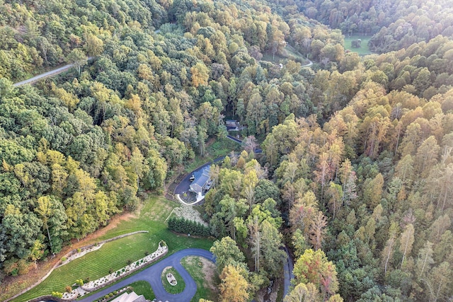 6932 Poage Valley Road Ext, Roanoke, VA 24018 - drone / aerial view with a view of trees