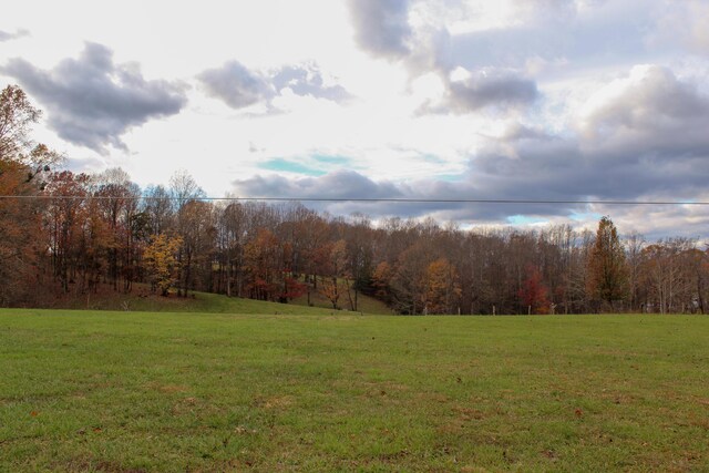 view of yard at dusk