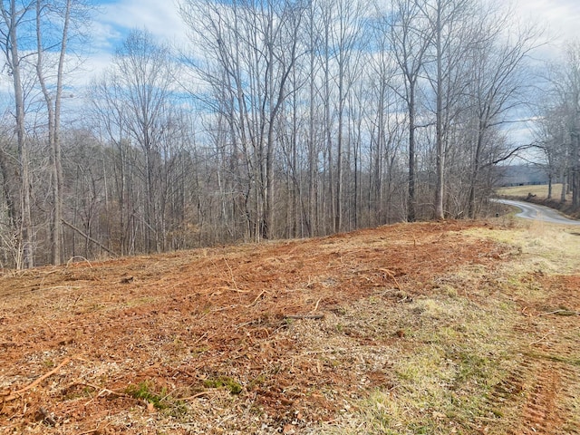 Listing photo 3 for LOT3 Horseshoe Bend Rd, Goodview VA 24095