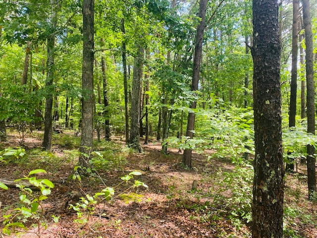 LOT97 Greenberry Dr, Pittsville VA, 24139 land for sale