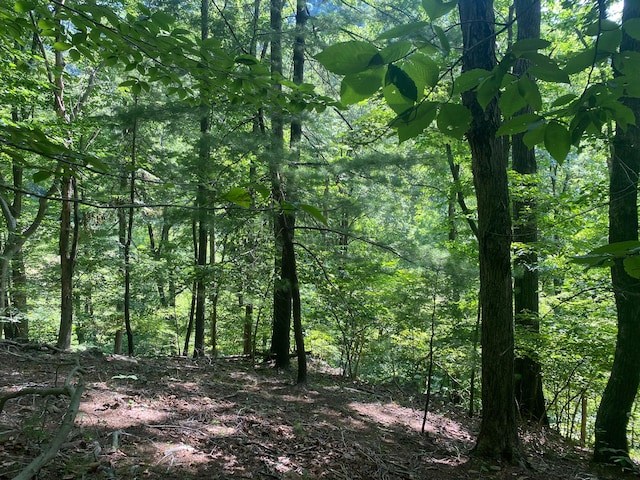 Listing photo 3 for LOT23 River Rock Rd, Vinton VA 24179