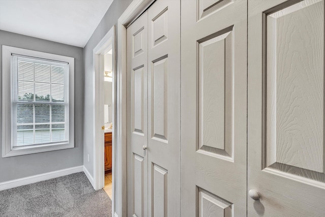 entryway featuring carpet