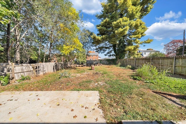 view of yard with a patio area