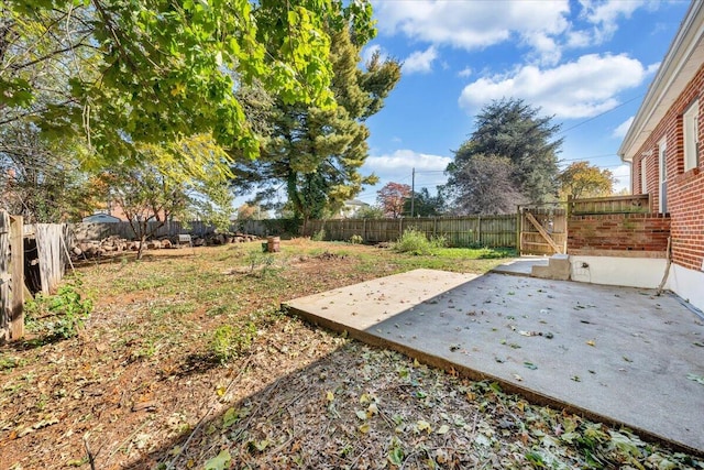 view of yard with a patio area