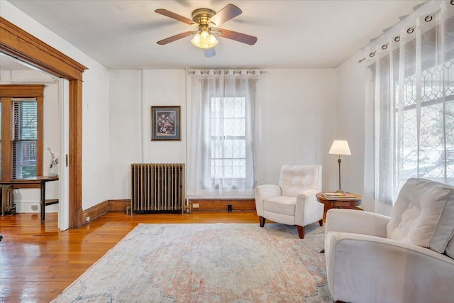 living area with light hardwood / wood-style flooring, radiator, and ceiling fan