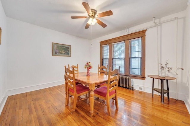 dining room with ceiling fan, light hardwood / wood-style flooring, and radiator heating unit