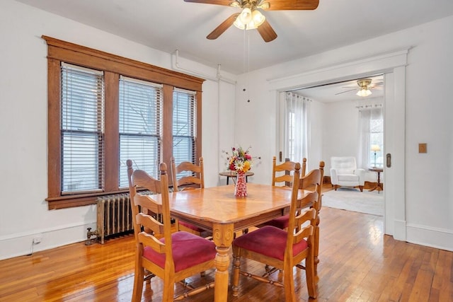 dining space featuring radiator heating unit, a healthy amount of sunlight, and wood-type flooring