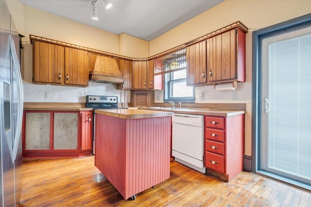 kitchen featuring a center island, custom exhaust hood, appliances with stainless steel finishes, and light hardwood / wood-style floors