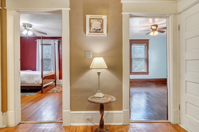 hallway featuring hardwood / wood-style flooring and plenty of natural light