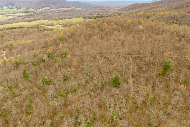 0 Adventure Mountain Rd, Montvale VA, 24122 land for sale