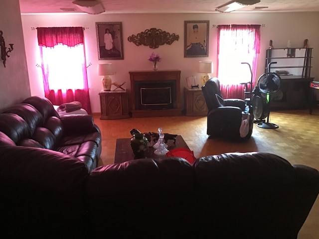 living room featuring a healthy amount of sunlight