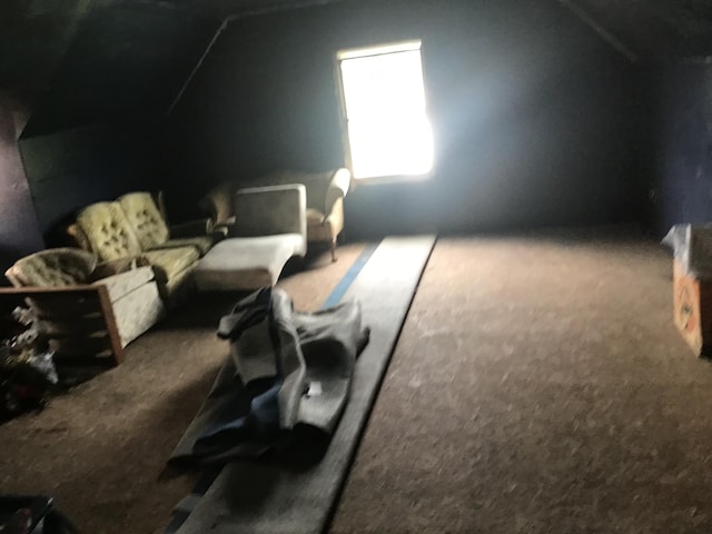 bonus room with carpet floors and vaulted ceiling