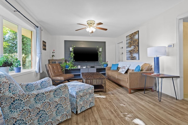 living room with ceiling fan and light hardwood / wood-style flooring