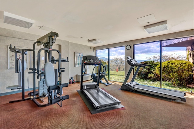 workout area featuring carpet