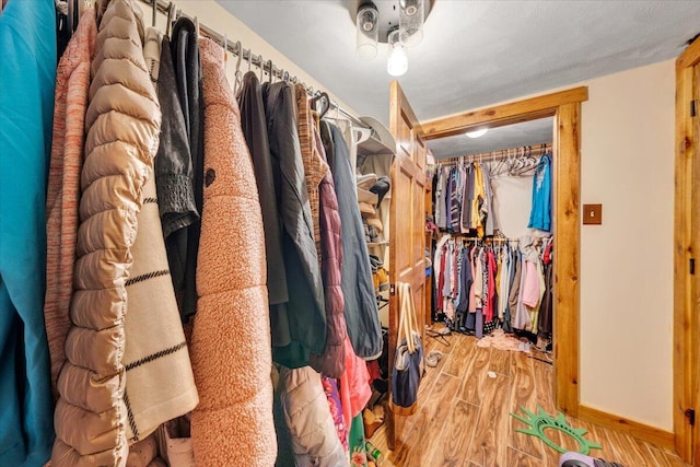 spacious closet with hardwood / wood-style flooring