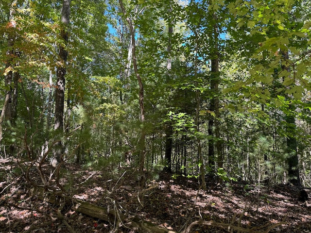 Listing photo 3 for LOT3 Narrows Rd, Boones Mill VA 24065