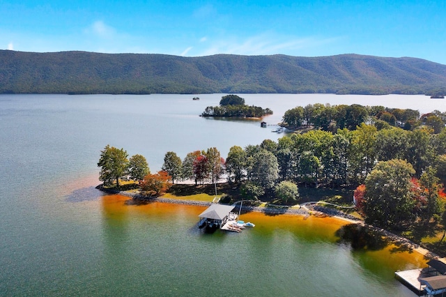 birds eye view of property with a water and mountain view