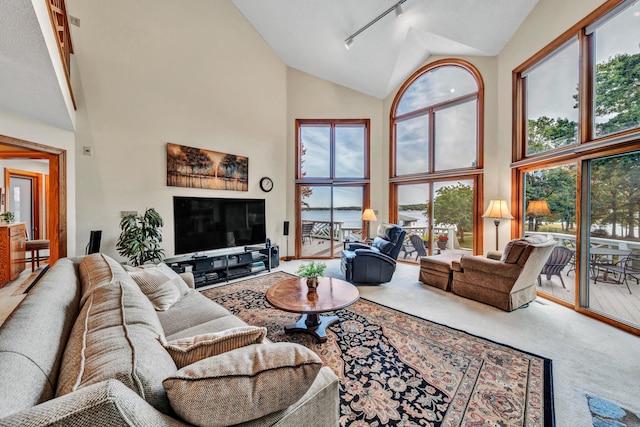 carpeted living room featuring track lighting, high vaulted ceiling, and a healthy amount of sunlight