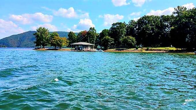 water view featuring a mountain view