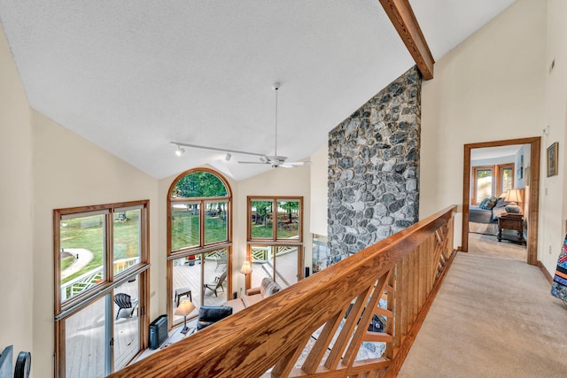 hall featuring light carpet, beam ceiling, high vaulted ceiling, and rail lighting