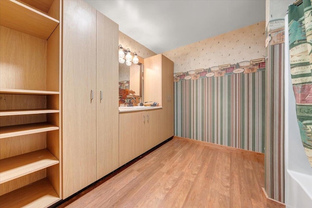 interior space featuring vanity and wood-type flooring