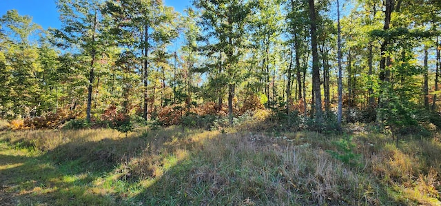 LOT102 Black Diamond Rd, New Castle VA, 24127 land for sale