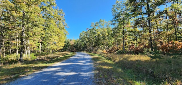 Listing photo 2 for LOT102 Black Diamond Rd, New Castle VA 24127