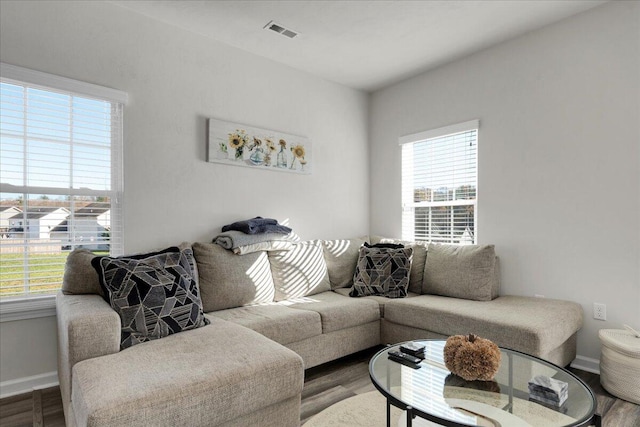 living room with hardwood / wood-style flooring and a healthy amount of sunlight