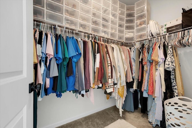 spacious closet featuring carpet floors