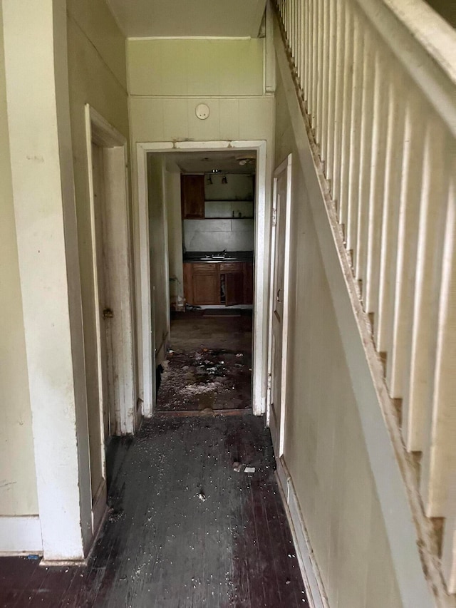 hallway with sink and dark wood-type flooring