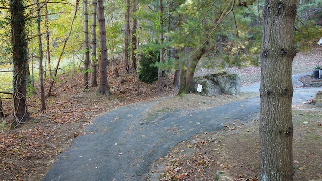 view of road