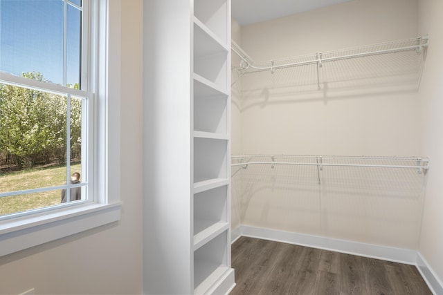 6913 Doral Dr, Radford, VA 24141 - spacious closet with dark wood finished floors
