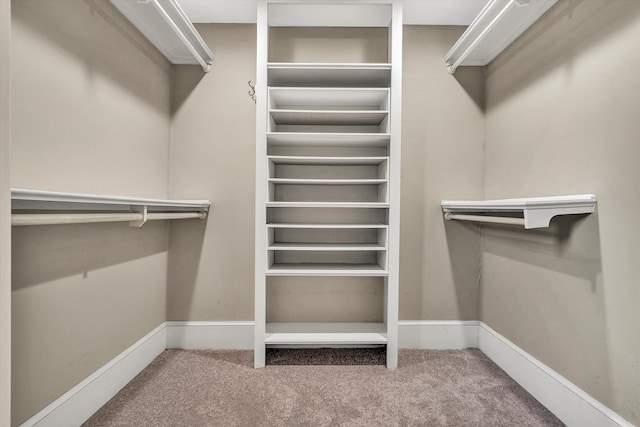 spacious closet with carpet