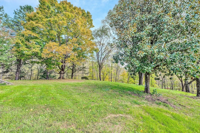 6869 Old Mill Rd, Roanoke, VA 24018 - view of yard