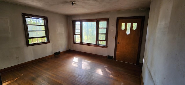 entryway featuring dark hardwood / wood-style flooring and plenty of natural light