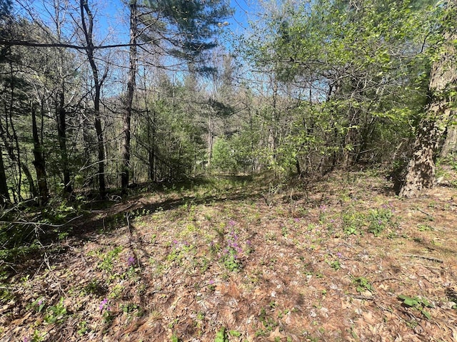 0 Ivy Ridge Rd, Bent Mountain VA, 24059 land for sale