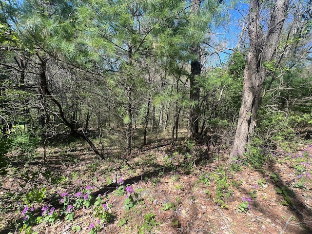 Listing photo 2 for 0 Ivy Ridge Rd, Bent Mountain VA 24059