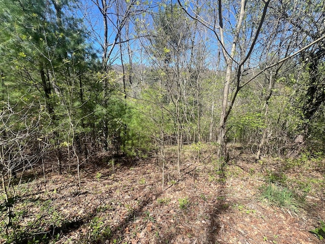 Listing photo 3 for 0 Ivy Ridge Rd, Bent Mountain VA 24059