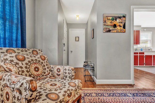 interior space with hardwood / wood-style floors and sink