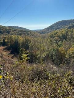 0 Shooting Creek Rd, Ferrum VA, 24088 land for sale